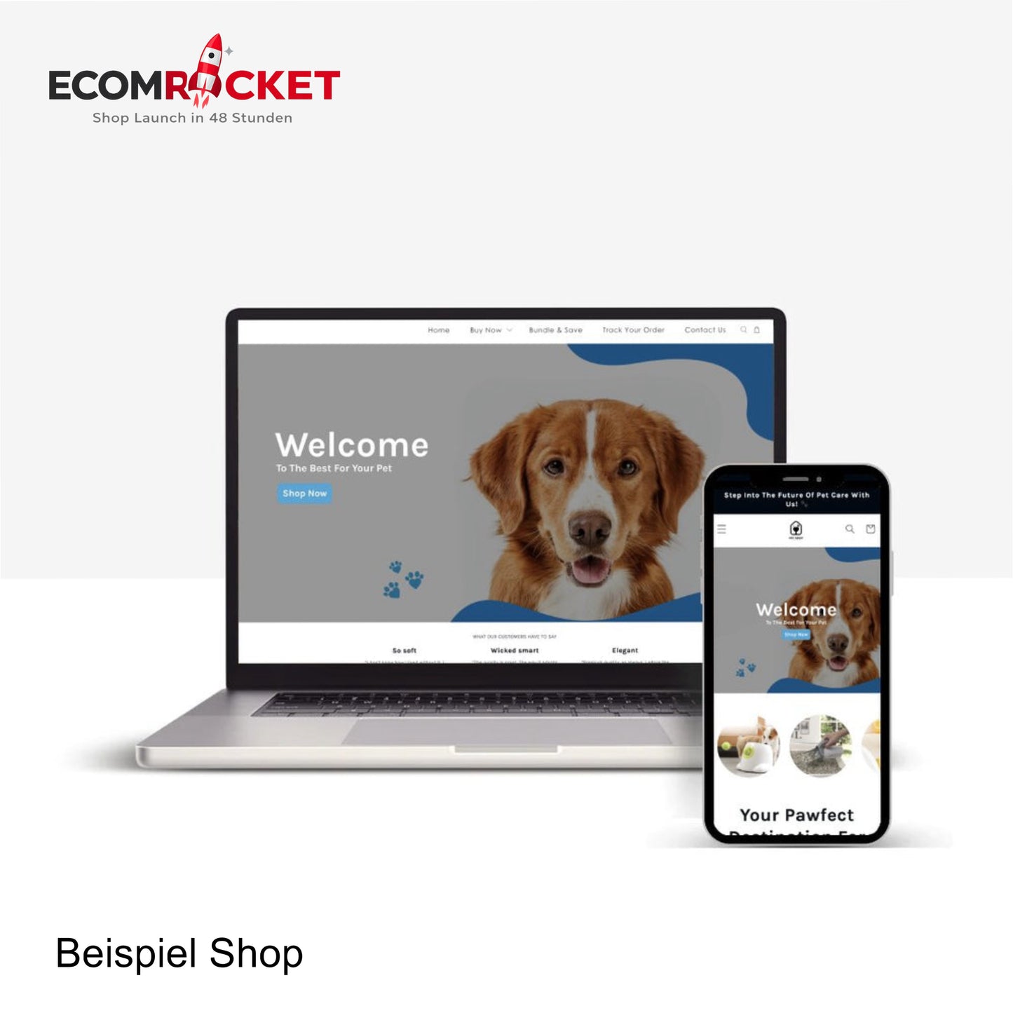 All-In-One Dropshipping Brand